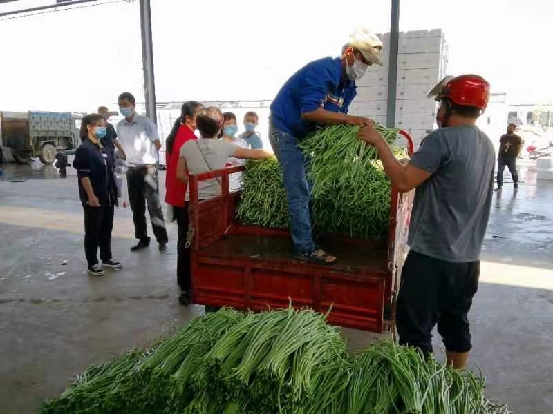 尊龙凯时人生就是博·(中国游)官网